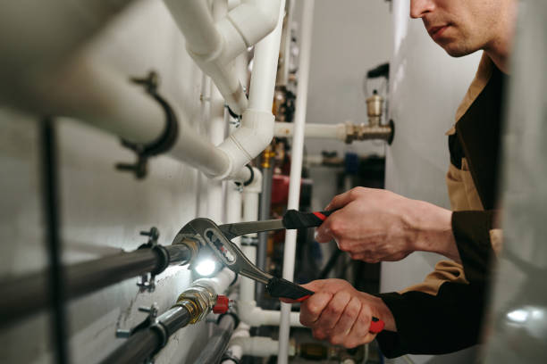 Best Clogged Drain Plumber  in Janesville, MN