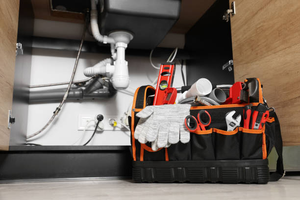 Best Plumbing Inspection Services  in Janesville, MN