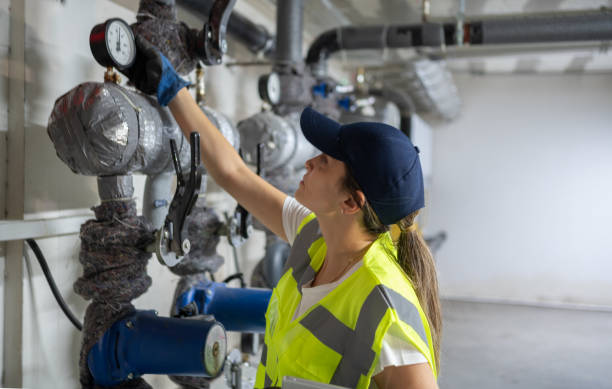 Best Plumbing Repair Near Me  in Janesville, MN