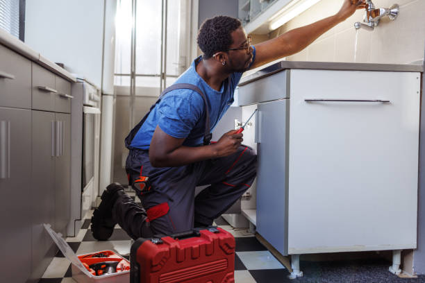 Best Emergency Plumber  in Janesville, MN