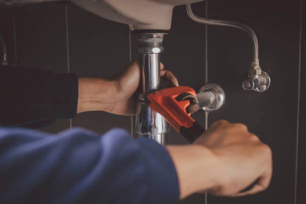 Best Shower Repair Services  in Janesville, MN