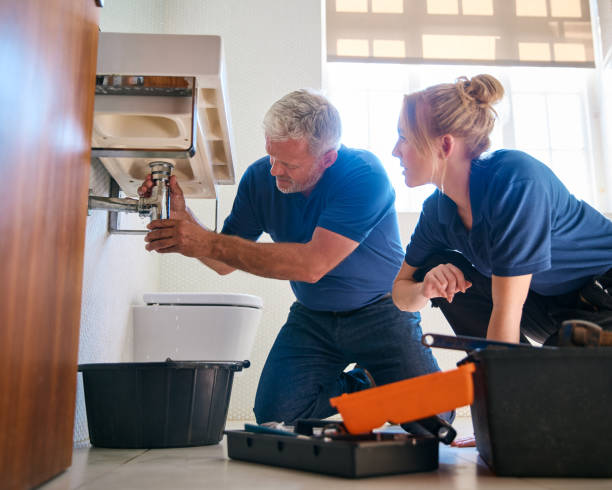 Best Same-Day Plumbing Service  in Janesville, MN